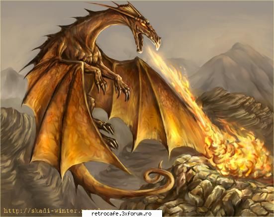 Dragons for the power of the forum - Umah - Photo Book