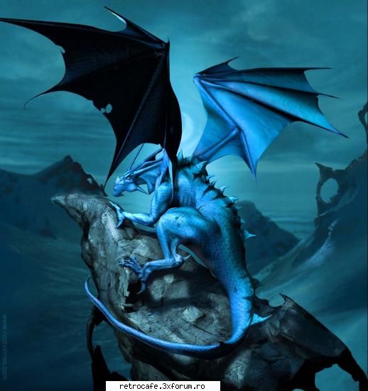 Dragons for the power of the forum - Umah - Photo Book